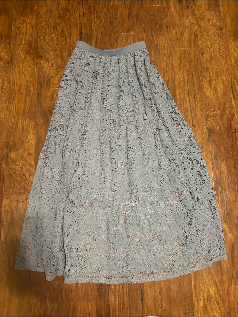 Laffaire Los Angeles Lace Midi skirt Fairy Feminine Coquette